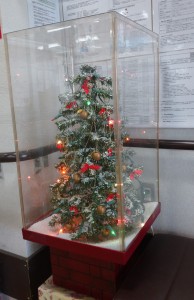 DSC_0053 (002)クリスマスツリー