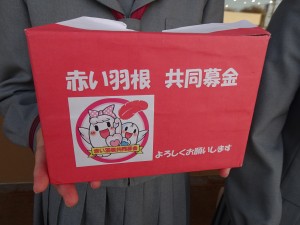 DSC02993