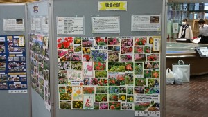 職場の部皆楽荘