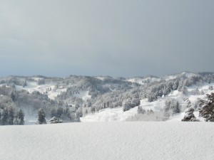 DSCN4994