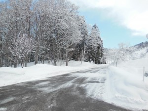 DSCN5001