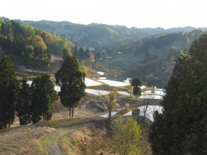 DSCN5271