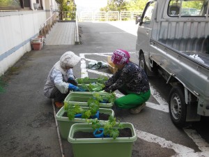 DSCN5300