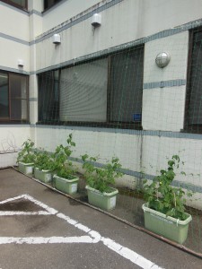 DSCN5343