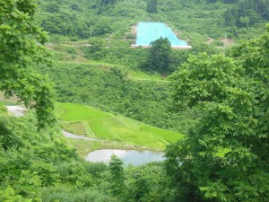 DSCN5400