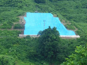 DSCN5401