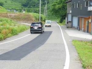 DSCN5403