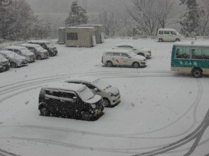 DSCN6018