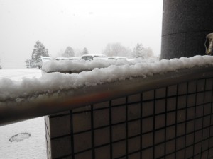 DSCN6019