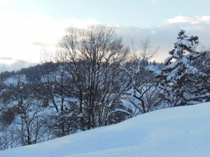 DSCN6150