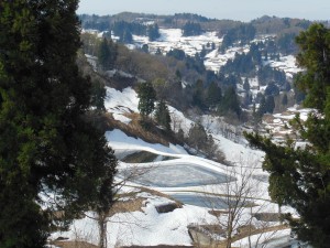 DSCN6357